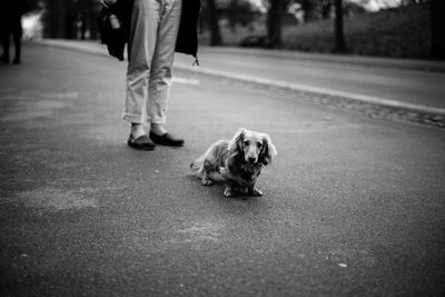 Low section of man with dog