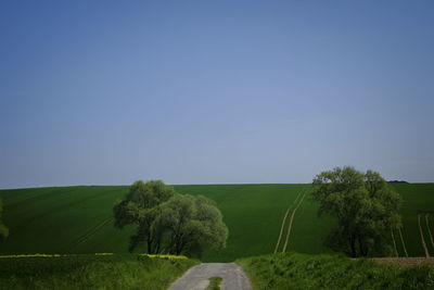 Scenic view of field against clear blue sky