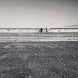 View of dog on beach