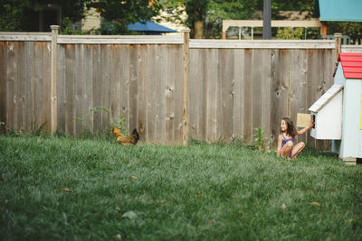 A smiling child plays in the backyard with her chicken in summertime