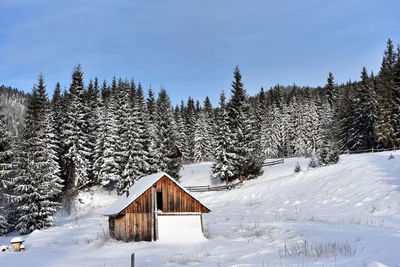 House and trees against sky during winter