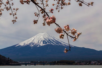 Scenic view of snowcapped mountain against cloudy sky