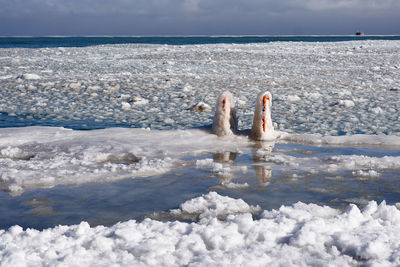 Icy chicago lakefront with snow and ice on the lake