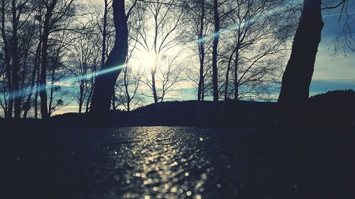 Close-up of tree against sky