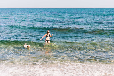 View of dog on beach