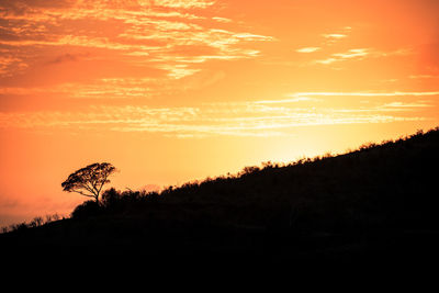 Silhouette trees on landscape against orange sky