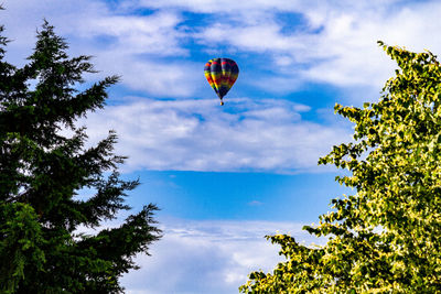 Low angle view of hot air balloon against sky