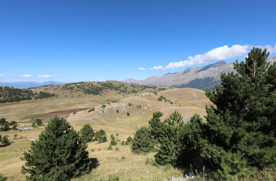 Scenic view of landscape against blue sky