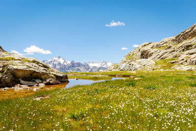 Scenic view of grass and mountains against sky