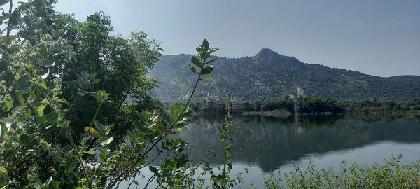 Scenic view of lake by trees against sky