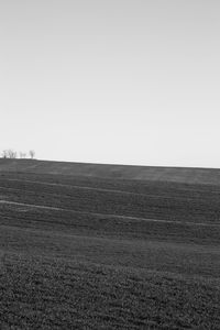 Scenic view of field against clear sky