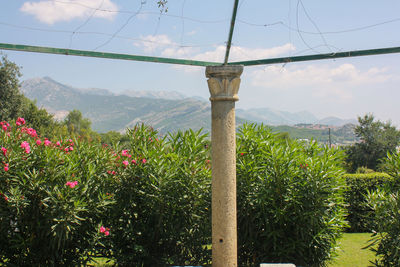 Scenic view of flowering plants against sky