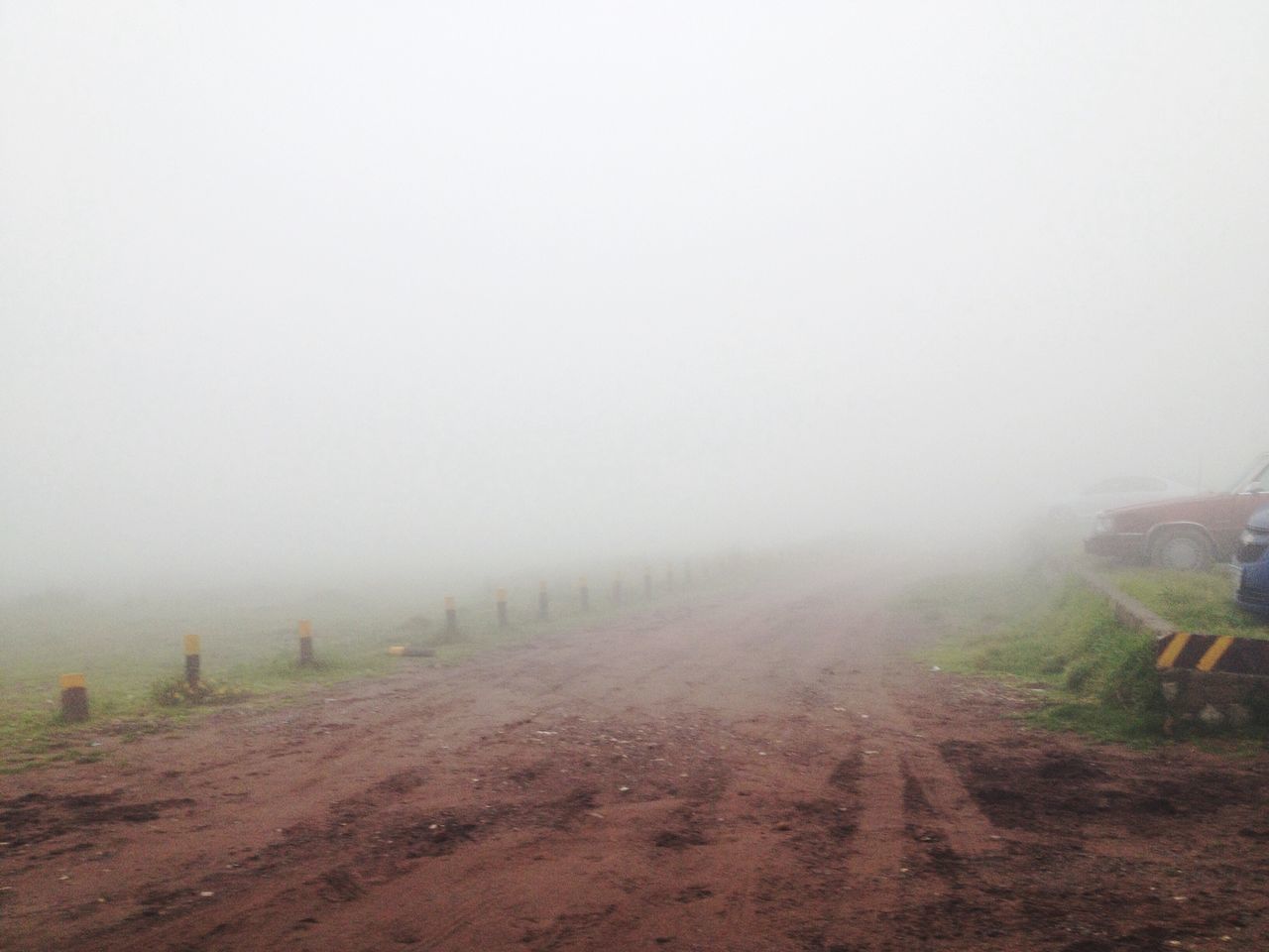 fog, foggy, weather, copy space, tranquil scene, tranquility, mist, landscape, nature, scenics, beauty in nature, the way forward, field, tree, non-urban scene, day, dirt road, outdoors, sky