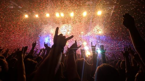 People enjoying at music concert