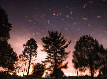 Low angle view of silhouette trees against sky at night