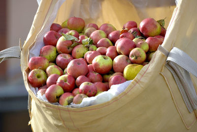 High angle view of apples in basket on table