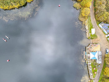 High angle view of plants floating on lake