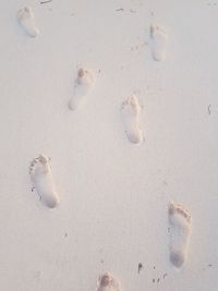 High angle view of footprints on beach