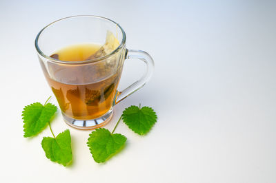 Nettle infusion in transparent cup, a sachet in water, a white saucer  and nettle leaves. 