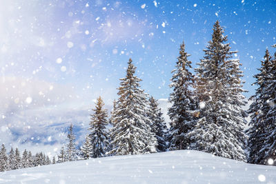 Snow covered land against sky