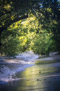 Scenic view of river