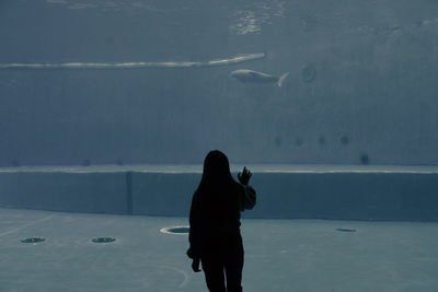 Rear view of woman photographing sea