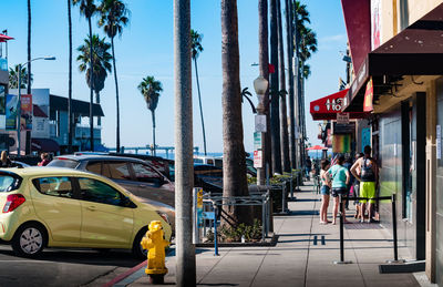 People walking on street in city