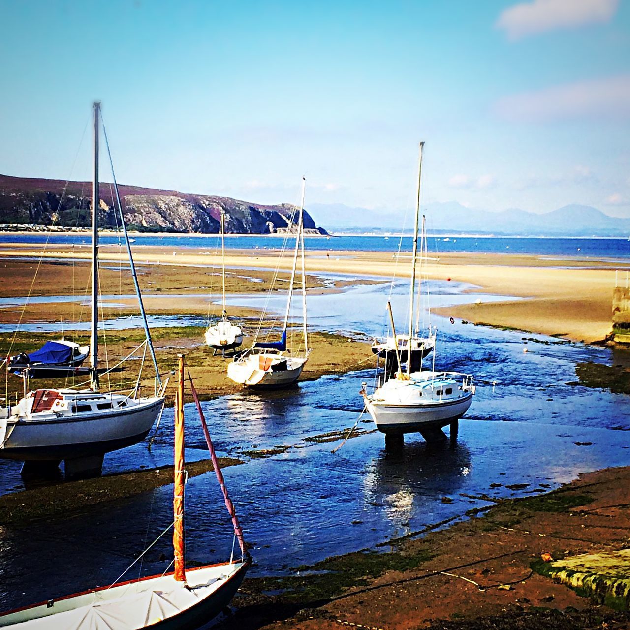 SAILBOATS MOORED IN MARINA