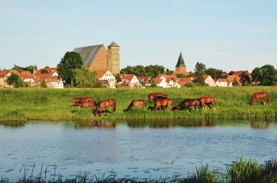 Scenic view of lake and buildings against sky