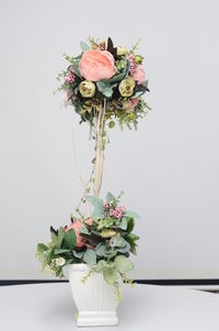 Close-up of rose plant in vase on table against wall