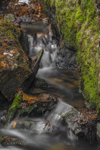 Stream flowing through rocks in forest