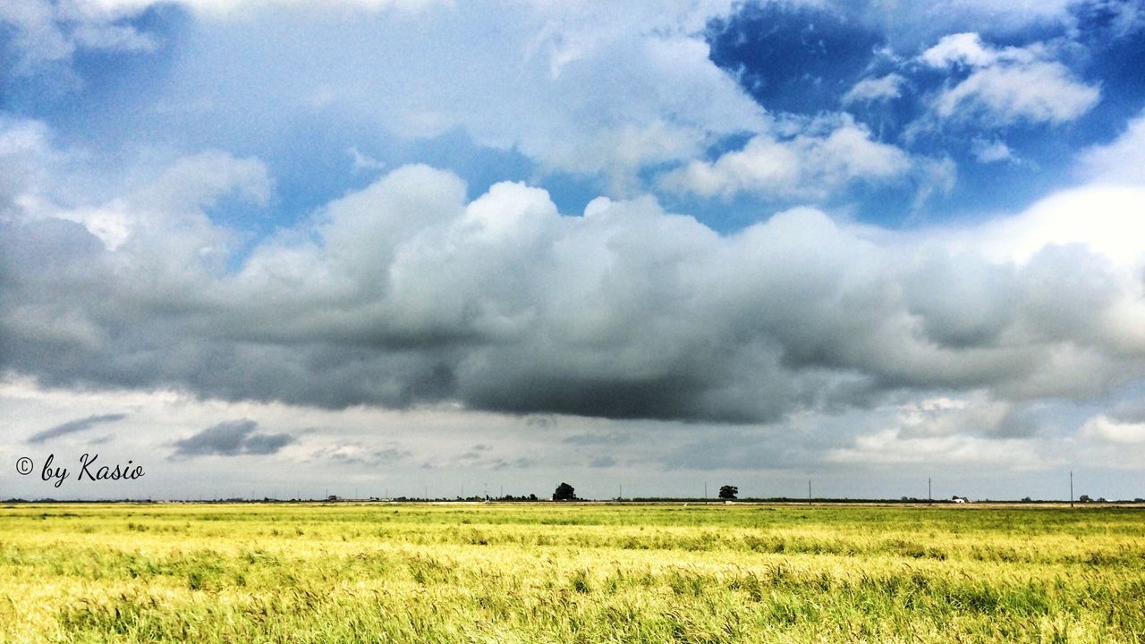 field, grass, sky, landscape, tranquil scene, cloud - sky, tranquility, scenics, grassy, cloudy, beauty in nature, nature, rural scene, green color, cloud, agriculture, growth, horizon over land, farm, meadow