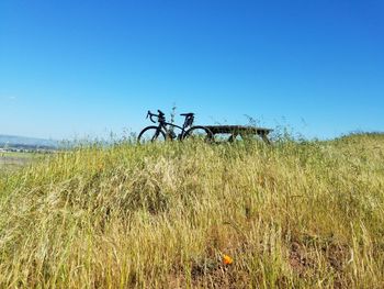 Scenic view of field against clear blue sky
