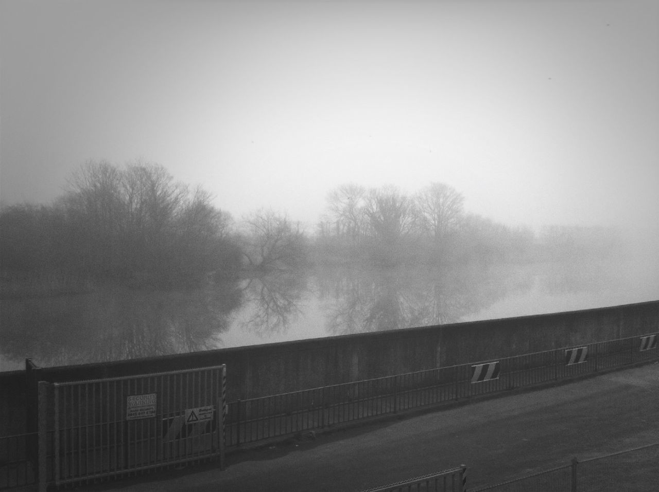 tree, fog, foggy, bare tree, copy space, weather, tranquility, sky, tranquil scene, railing, nature, built structure, beauty in nature, water, architecture, scenics, overcast, outdoors, day