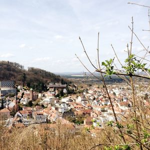 High angle shot of townscape