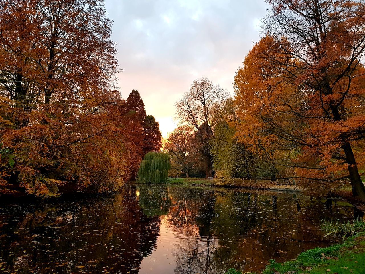 TREES BY LAKE DURING AUTUMN