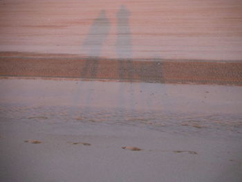 Shadow of water on road