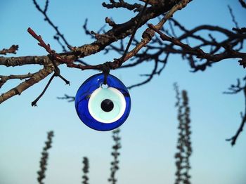 Low angle view of evil eye bead tied on bare tree