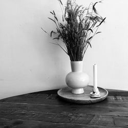 Close-up of potted plant on table against wall