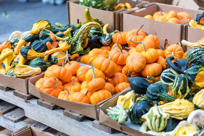 Pumpkins for sale, some days before halloween celebration, in a street market at union square, nyc