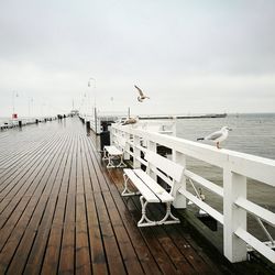 Seagulls flying over pier against sky