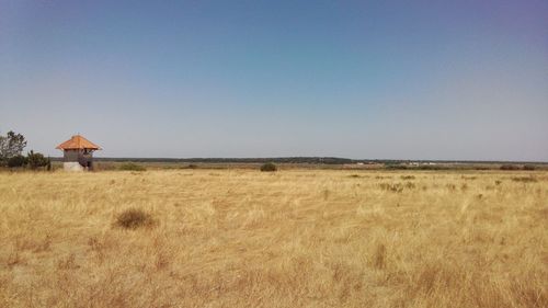 Scenic view of landscape against clear sky