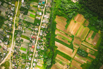 Aerial view of town by trees