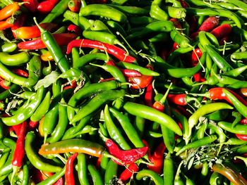 Full frame of red chili peppers