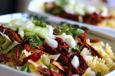 Close-up of salad in plate