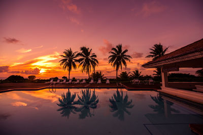 Palm trees by swimming pool against sky during sunset