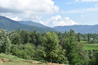 Scenic view of trees and mountains against sky