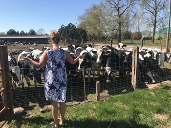 Rear view of woman looking cows while standing on grassy field