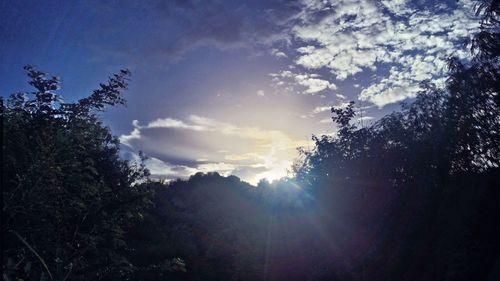 Low angle view of silhouette trees against sky