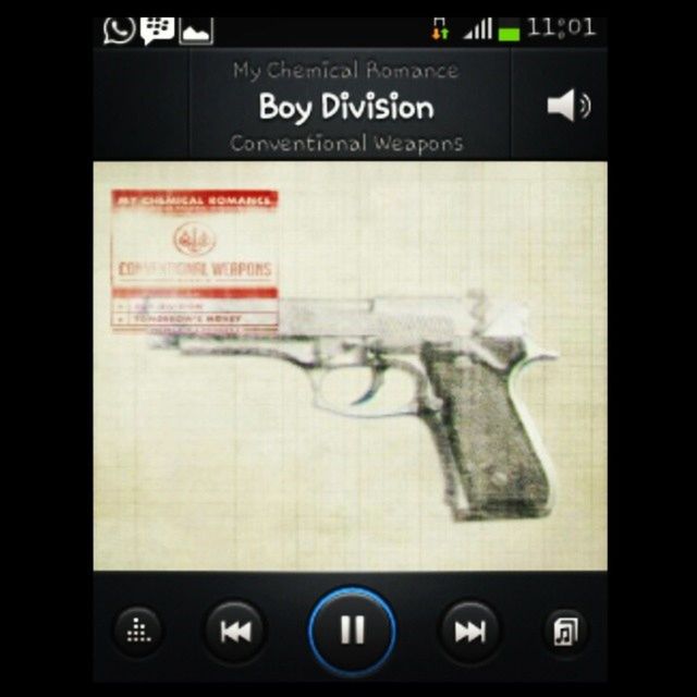 Boydivision